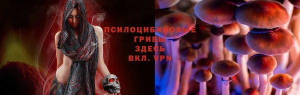 MDMA Premium VHQ Каменногорск