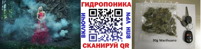 Бошки Шишки SATIVA & INDICA  Купить где  Бронницы 